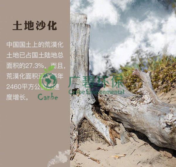 世界地球日 我們能為地球做些什么？(圖4)