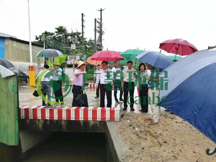佛山推進(jìn)水污染防治問題整改，虛假整改將被問責(zé)！(圖2)