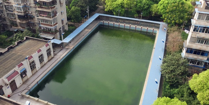 游泳池水變綠是什么原因？游泳池水處理方法