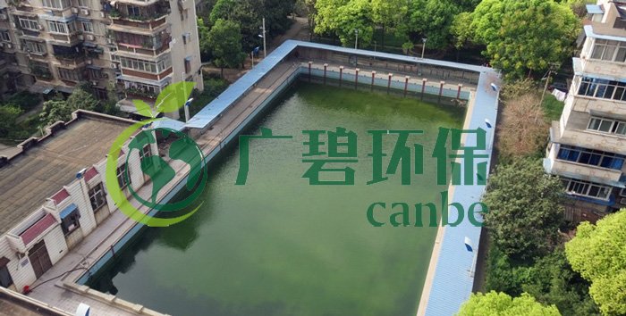 游泳池水變綠是什么原因？游泳池水處理方法(圖1)