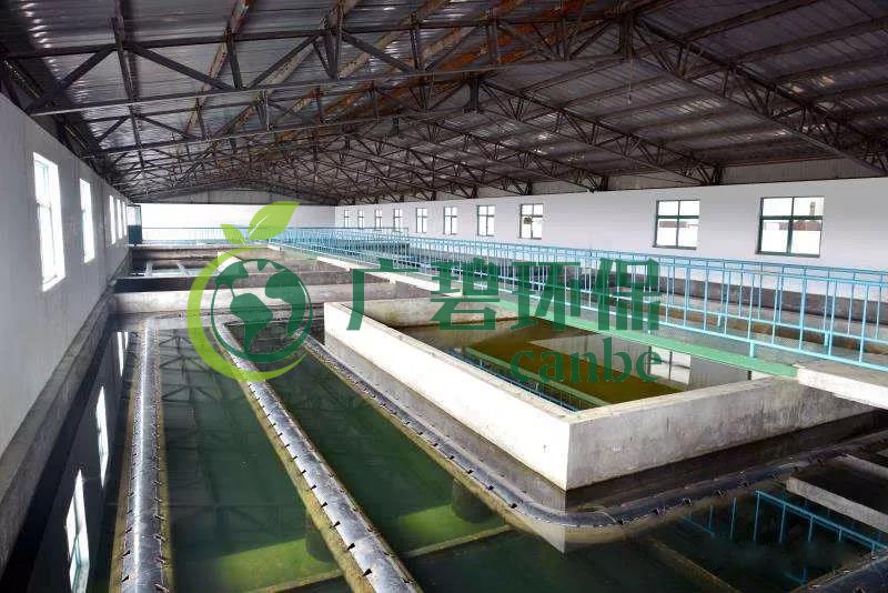 什么是制糖廢水？制糖廢水處理技術(shù)(圖1)