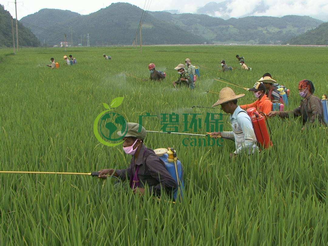 農(nóng)藥廢水是什么？農(nóng)藥廢水特點與處理工藝(圖1)