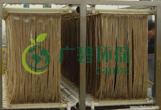 MBR污泥膨脹怎么處理？污泥膨脹的處理方法(圖1)