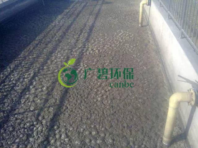 污泥發(fā)黑是什么原因造成？污泥發(fā)黑經(jīng)驗(yàn)分享(圖1)