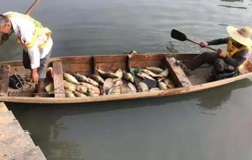 廣州旺旺食品廢水直排，永和河大量魚類死亡