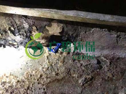 廣州旺旺食品廢水直排，永和河大量魚類死亡(圖4)