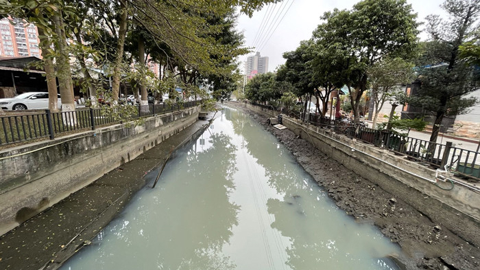 順德大良石洛涌、八坊涌整治見成效(圖3)